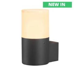 Grafit 240v - Outdoor Wall Light Circular Contemporary Style - Anthracite Powder Coated Aluminium