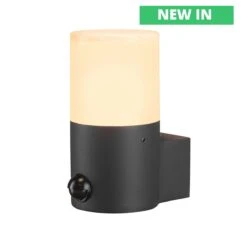 Grafit 240v - Outdoor Wall Light Contemporary Style - Anthracite Powder Coated Aluminium With PIR