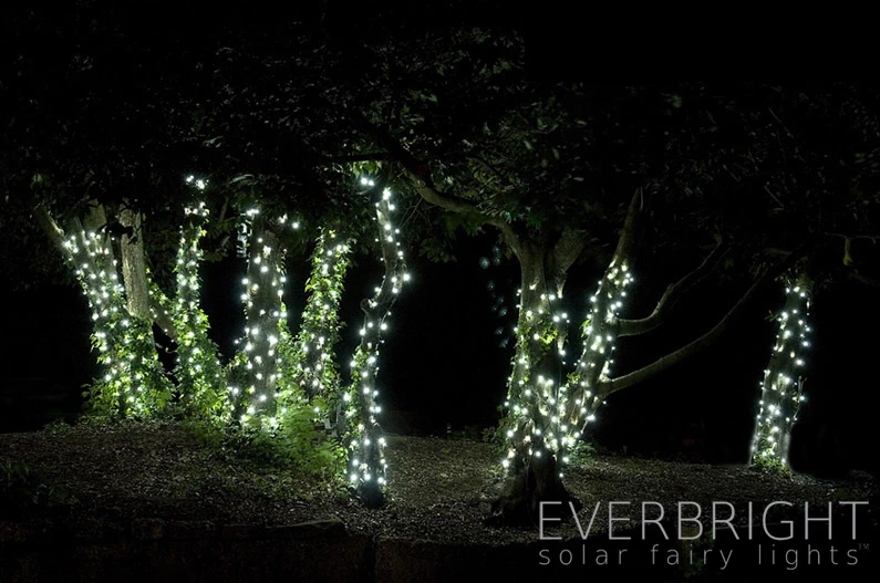 Lumify USB Solar Fairy Lights - Warm White 100 LEDs - Image 2