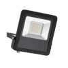Surge - 240v - Black - 50w IP65 Cool White 4000k 4000 Lumens - Floodlight