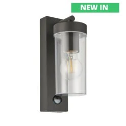 Hayden Anthracite Grey Stainless Steel Wall Light With PIR 240v IP44 262mm Tall E27