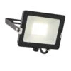 Salde IP65 30w Cool White Floodlight With Optional PIR, Photocell And Microwave Sensors - Black 240v