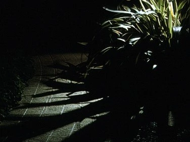 Pole Spot Solo - Black 12v - Powder Coated Aluminium IP65 MR16 Spike Spotlight - Choice Of 4 Colours - Image 5