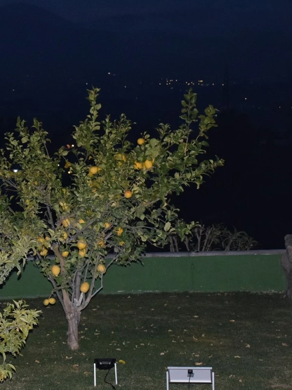 Pro Solar SOLLUX – Black Solar Uplight With Ground Spikes (25W, 60W, 120W) - Image 6