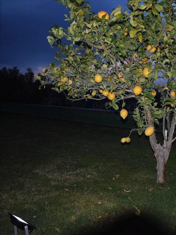 Pro Solar SOLLUX – Black Solar Uplight With Ground Spikes (25W, 60W, 120W) - Image 7