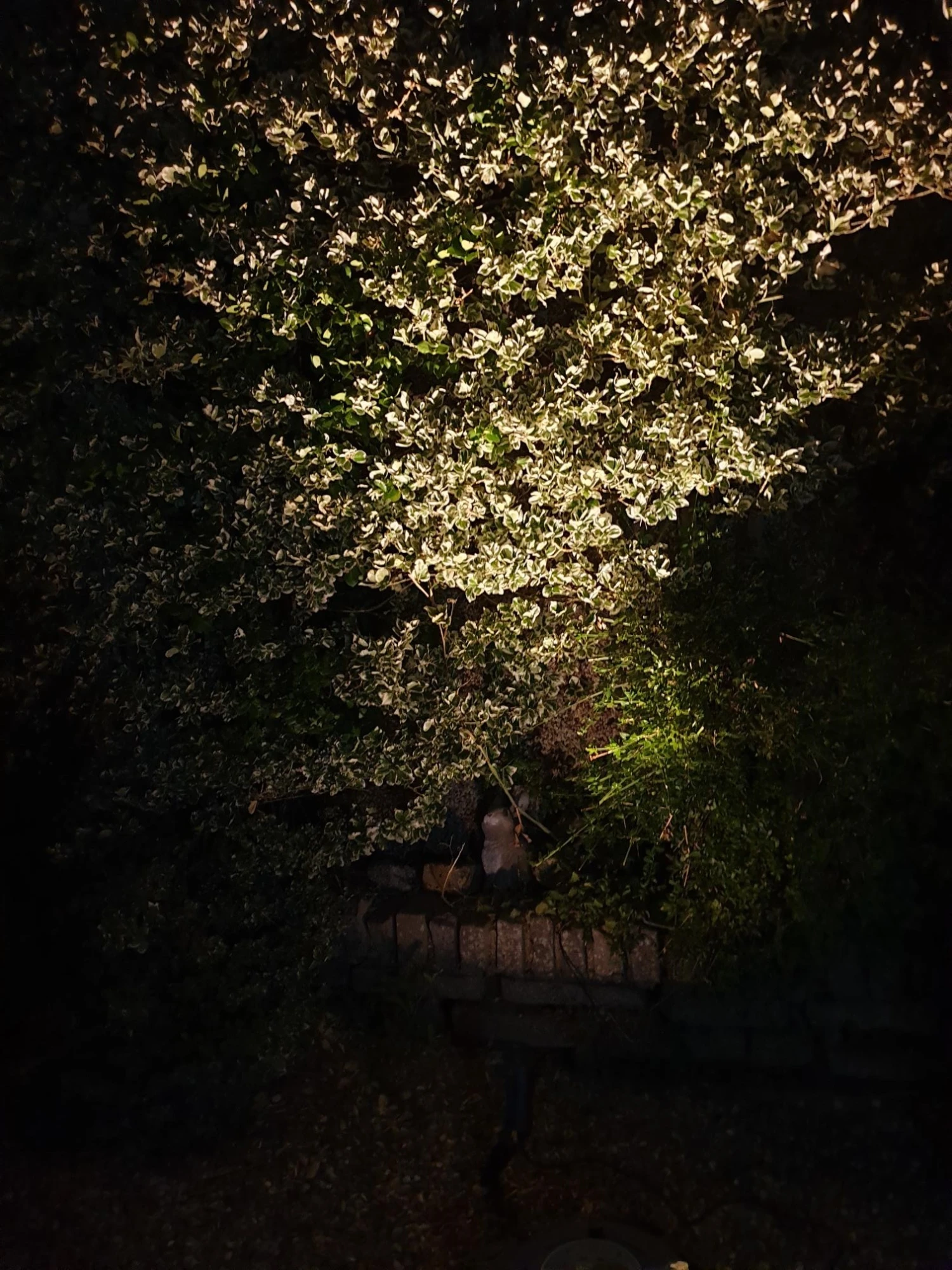 Spike5 Anthracite 12v 5w 2700k 400 Lumens IP67 38 Degree Beam Angle Spotlight Available In Black - Image 6