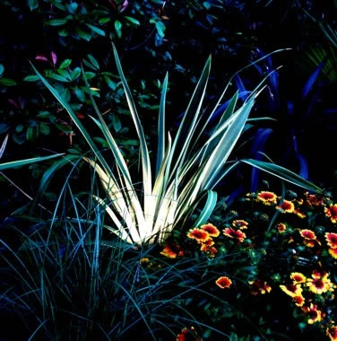 Compact Black Powder Coated 240v - Aluminium IP65 GU10 Spike Spotlight - Image 10