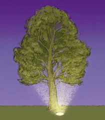 Apollo - 240v - Dark Grey Aluminium IP65 70w Metal Halide 60 Degree Beam Angle Surface Or Spike Mounted Spotlight - Image 6