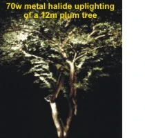 Apollo - 240v - Dark Grey Aluminium IP65 70w Metal Halide 60 Degree Beam Angle Surface Or Spike Mounted Spotlight - Image 7