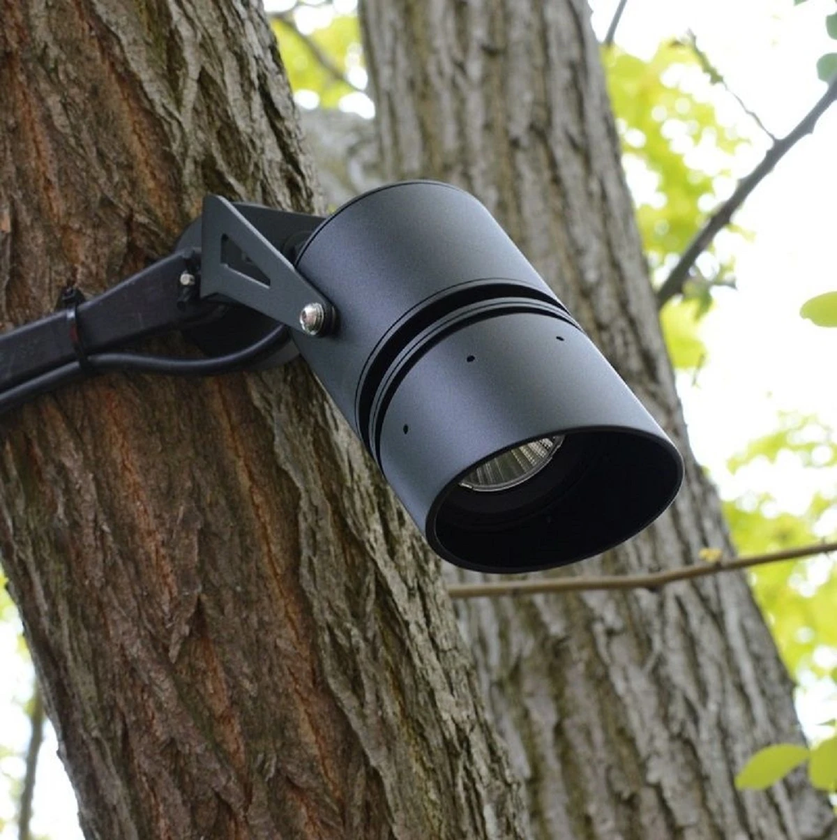 Titan 15 - 240v 15W IP65 3000K Black 15 Degree Spike Light - Image 2