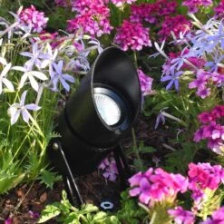 Titan 10 LED Black 10w 12v DC 3000k 36 Degree Beam Angle 750 Lumens IP65 Spotlight