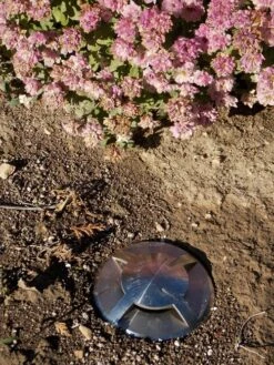 QuadMarka - 12v Plug & Play 316 Stainless Steel MR16 IP67 Recessed Light 4 Windows 360 Degree Of Light